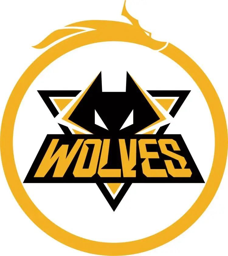 精简赛程，IEM秋季赛独联体决赛从bo5调整为bo3